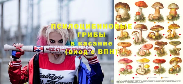 соль курить ск Нефтекумск