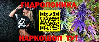 дурь Жуковский
