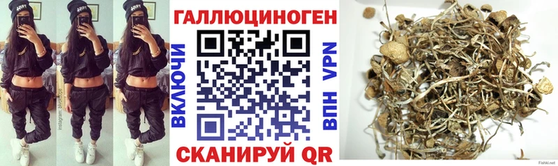 Галлюциногенные грибы Psilocybe  наркотики  Кыштым 