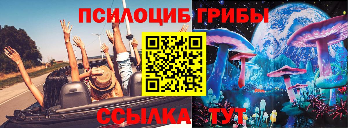 Псилоцибиновые грибы мицелий Кыштым