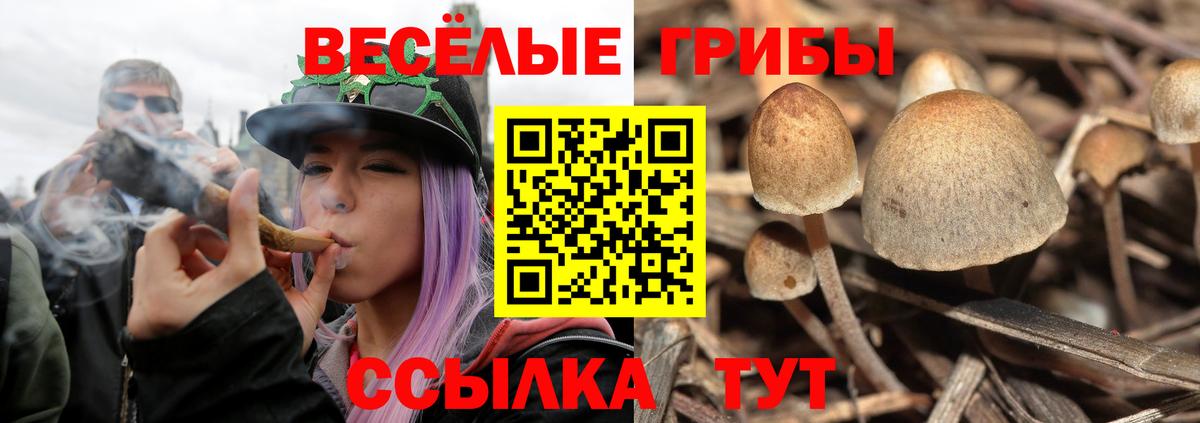 Псилоцибиновые грибы Magic Shrooms Кыштым